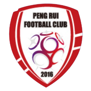 北京通州鹏瑞通达队标,北京通州鹏瑞通达图片