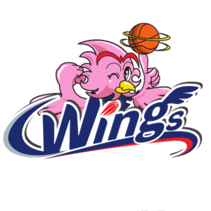 爱信飞翼女篮队标,爱信飞翼女篮图片